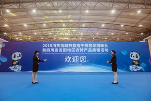 2019川貨電商節(jié)暨電子商務(wù)發(fā)展峰會(huì) 以技術(shù)開發(fā)為引擎，推動(dòng)川貨走向世界